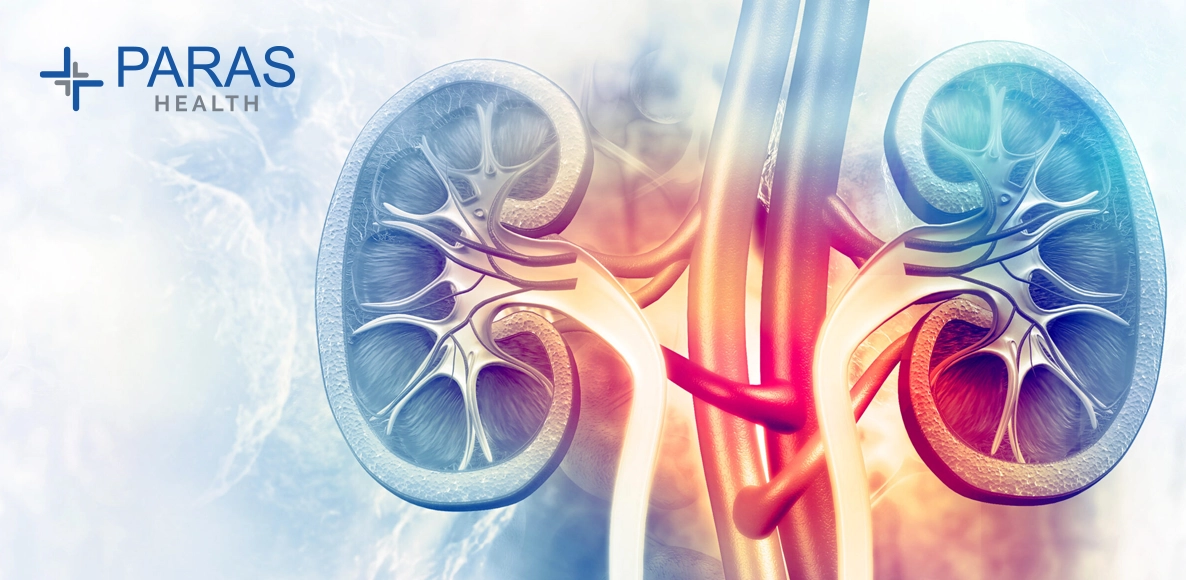 Understanding the Risk Factors for Chronic Kidney Disease